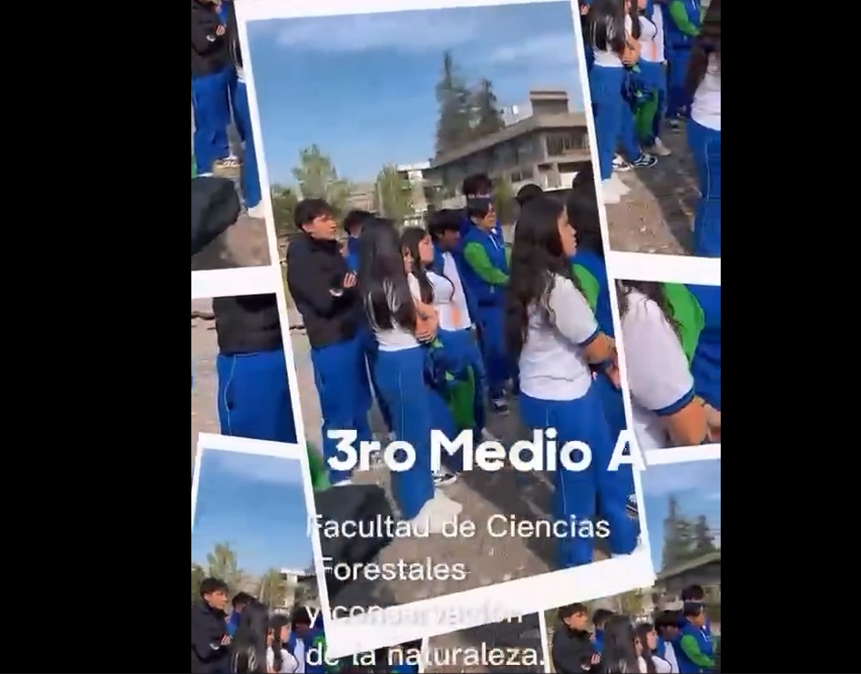 Miniatura 17